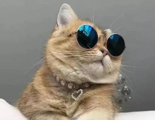 啦咯啦咯啦咯啦咯考虑
