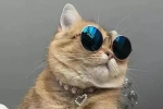 啦咯啦咯啦咯啦咯考虑