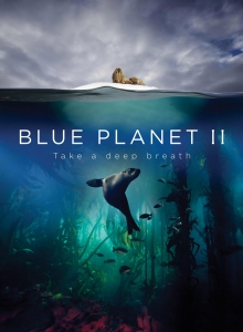 蓝色星球2 4K蓝光高清版下载/ 蓝色星球 第二季 2017 Blue Plane...